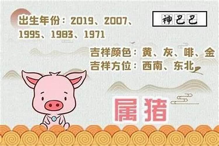 属猪的三月感情运势如何？