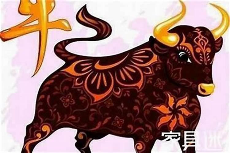 属牛2026腊月十三出生