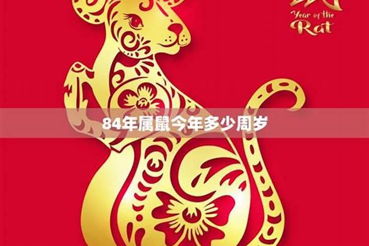 今年84年属鼠的运势是好不好？