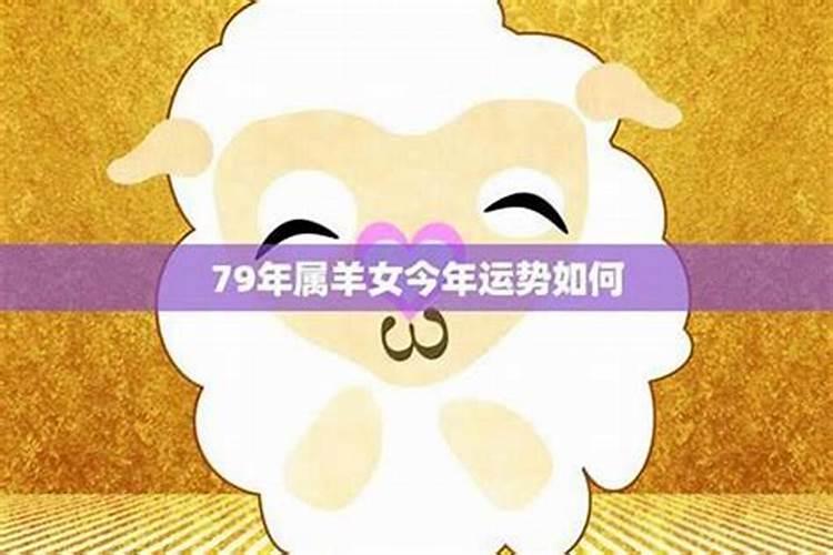 属羊女今年的运势如何？