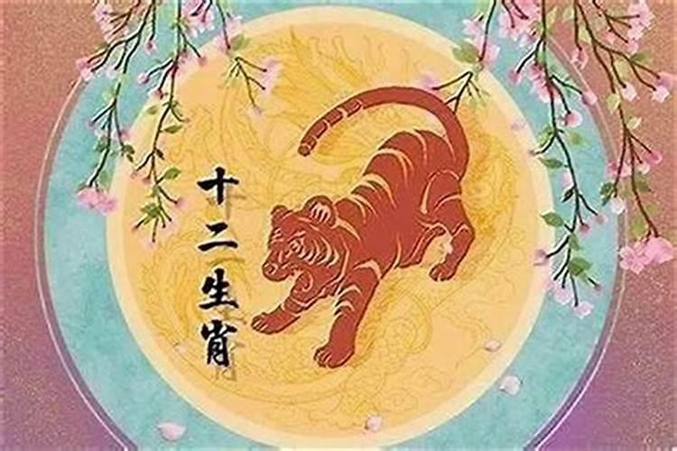 本命年属虎的大忌62年
