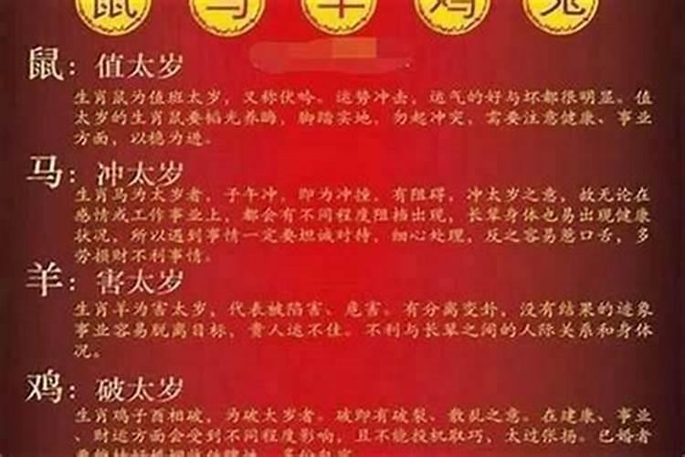什么属相容易犯太岁？