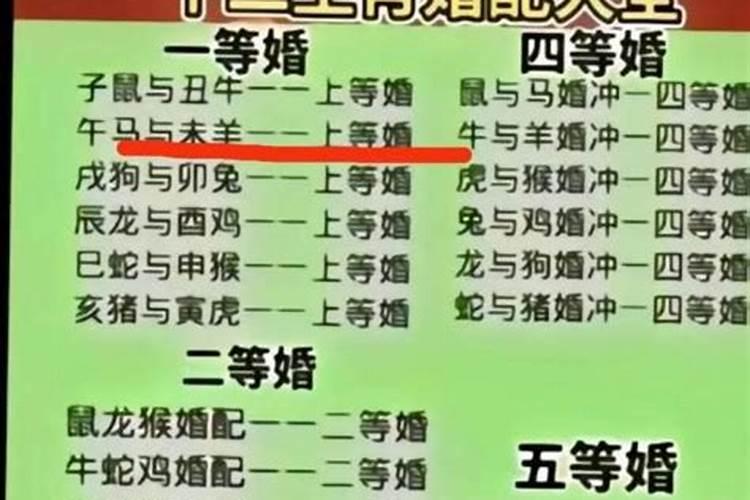 男羊和女兔属相婚配吗？