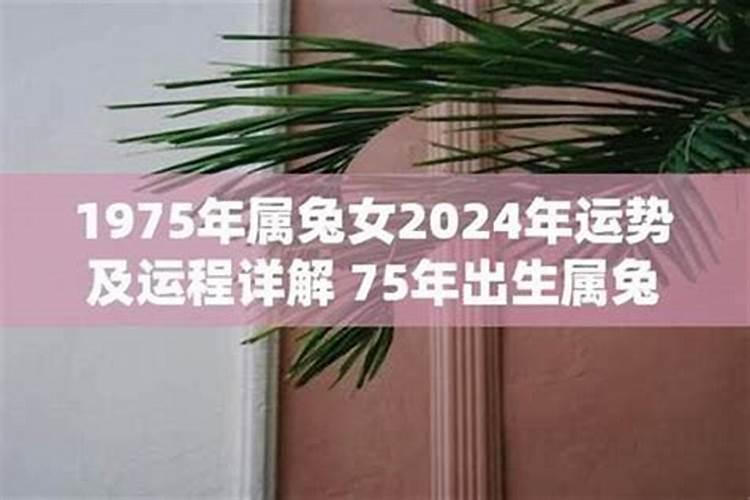 1975年女兔2026年运势及运程