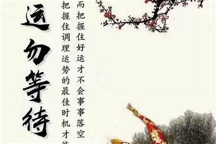 流年食神生偏财为忌