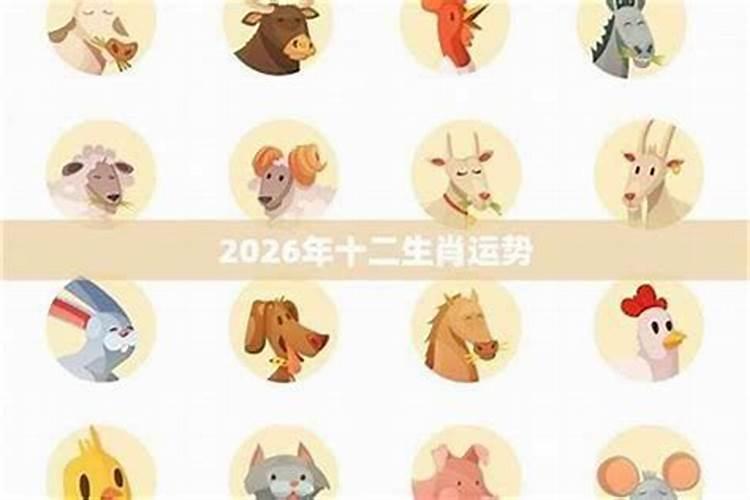 生鼠鸡2026年运势