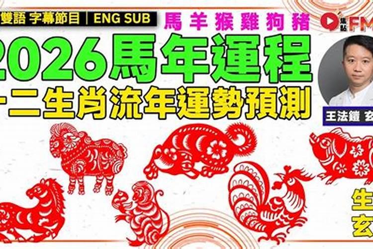 生肖狗2026年6月运程如何？