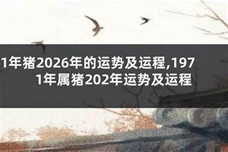 71年生人男2026年运程
