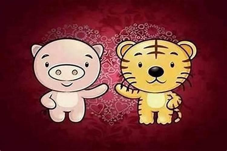 属相猪和虎婚配可以吗？