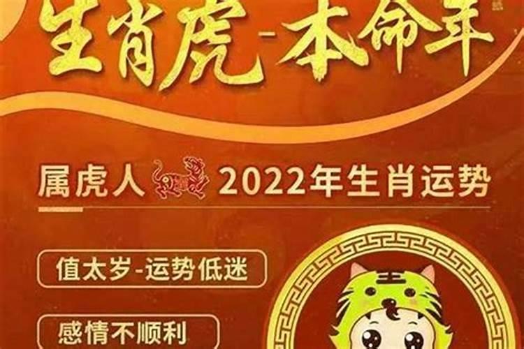 74年女属虎人2026年运程