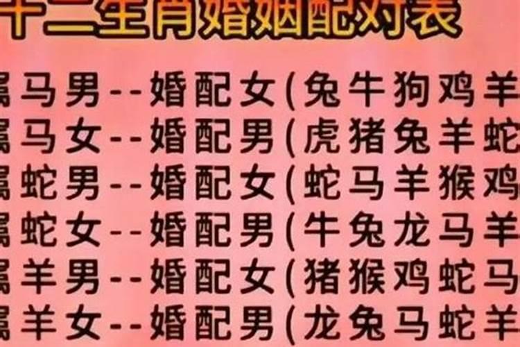 男马与女主属相婚配可以吗？