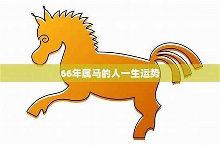 属马今年66运势如何？