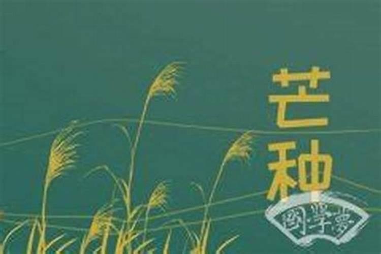 芒种后九天交运怎么算？