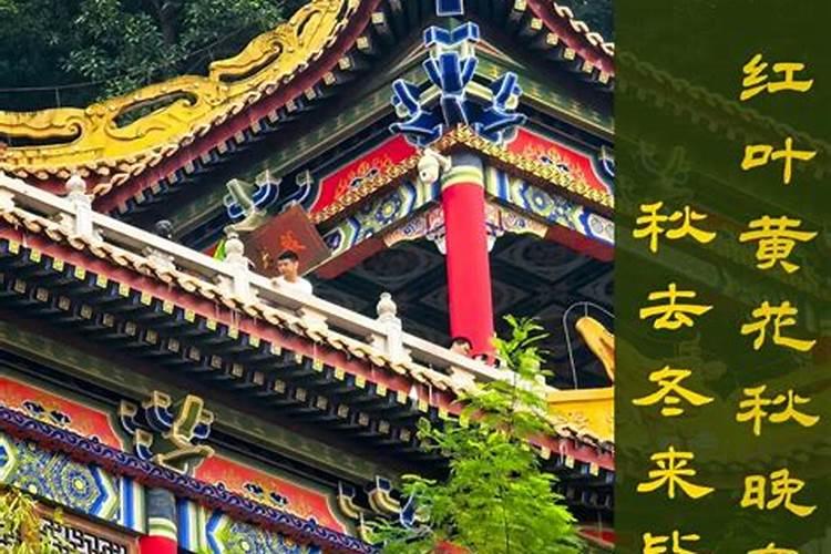 十月初一出生女佛缘