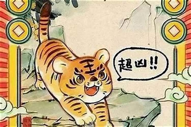 1986年的人2026年运势怎么样？