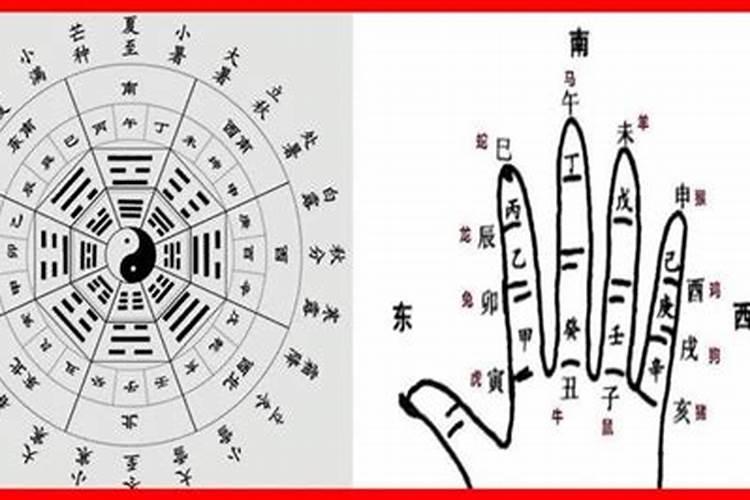 八字天干正官引哪里看婚姻？