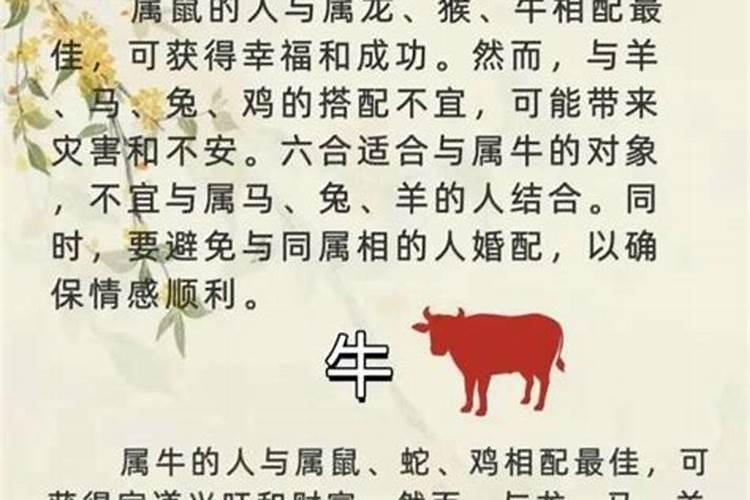 属牛的男和属狗的女合婚吗？