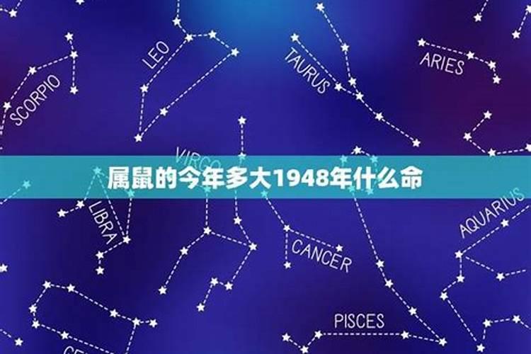 1948出生鼠今年运势