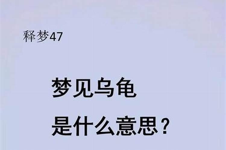 梦到特大乌龟会说话