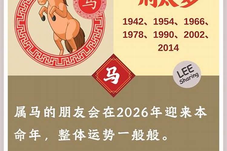 2026年马为什么冲太岁？