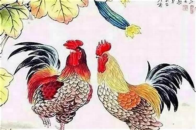 属鸡找什么属性合婚？