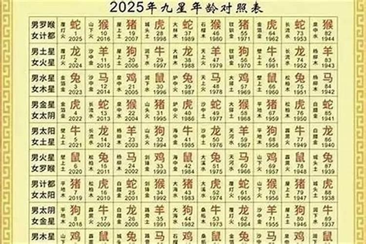 80年猴2026年的运程