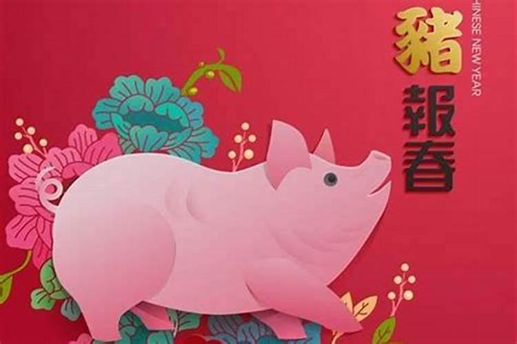 71年属猪的今年运势怎么样？