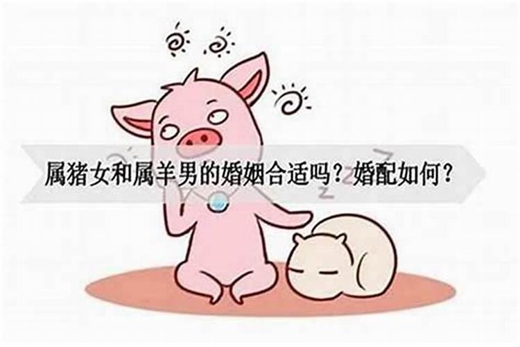 属猪女和属兔男合婚吗？