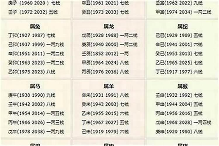算八字几斤几两几钱2026？