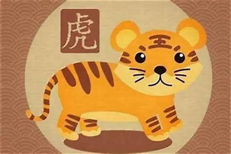 本命年财运怎么样属虎的运势？