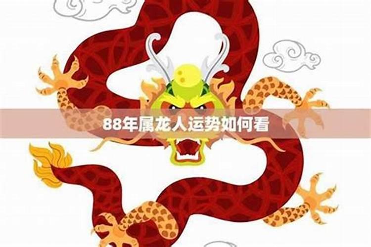 88年龙2026年感情运势如何？