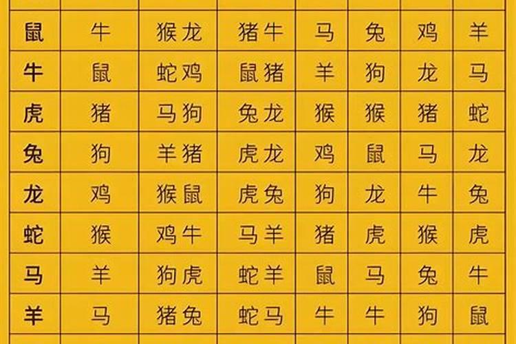 十二生肖什么叫冲太岁？