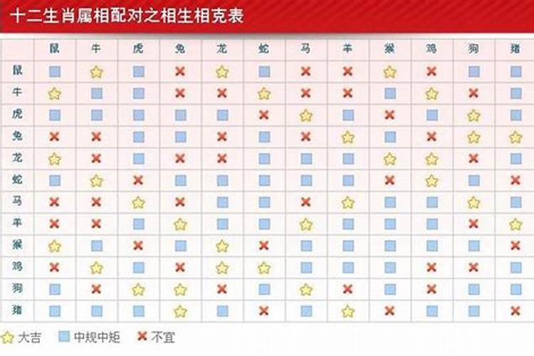 属相婚配龙配羊好吗？