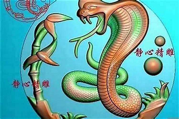 女蛇男属相婚配好吗？