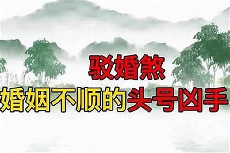怎么查自己是否犯驳婚煞？