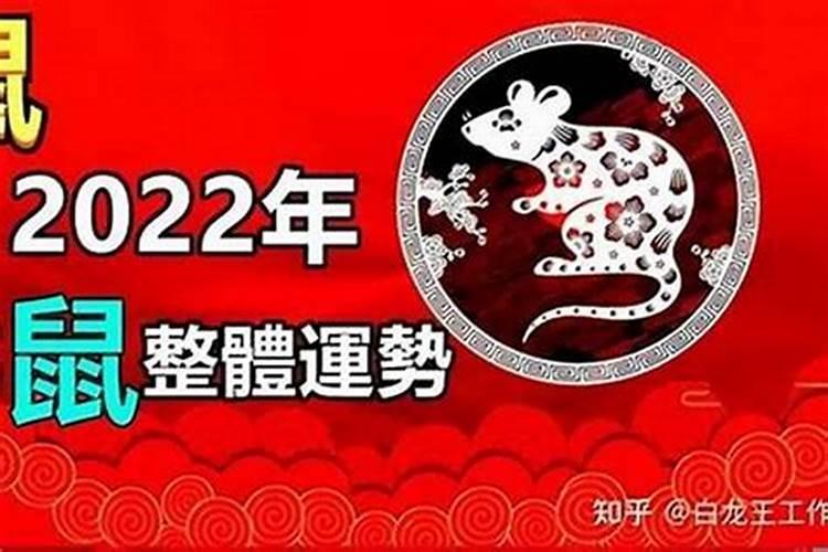 1985属鼠人2026年运势