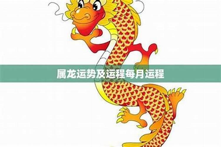 1979年属龙人2026年运势运程