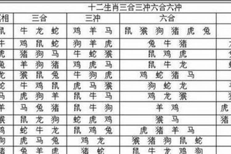 属猪的和什么属相婚配？
