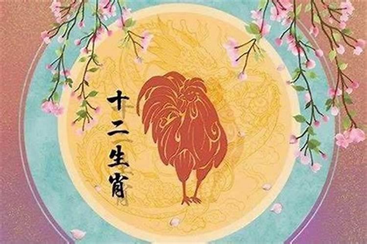 81的鸡在19的运势如何？