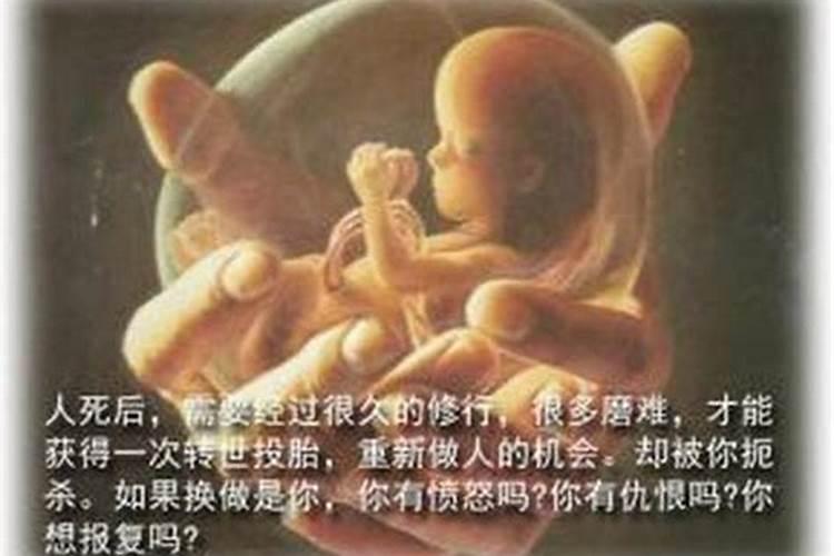 为堕胎婴灵作供
