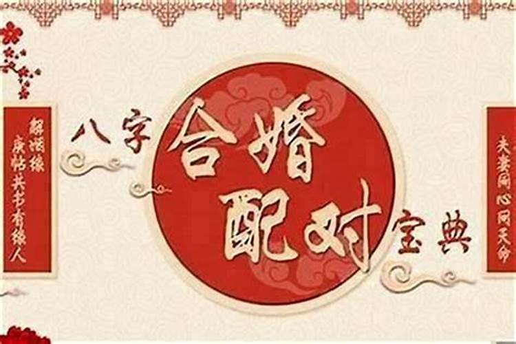 八字合婚主要看哪一柱？