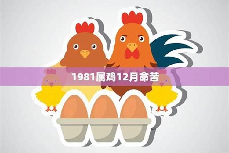 1981属鸡的运势如何？