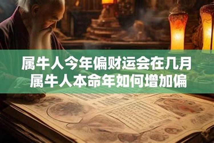 本命年人财运如何？