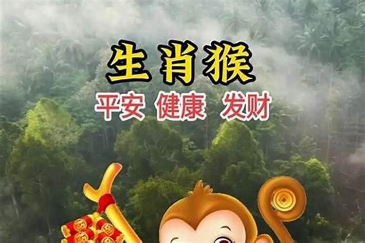 属猴三月十五的命运