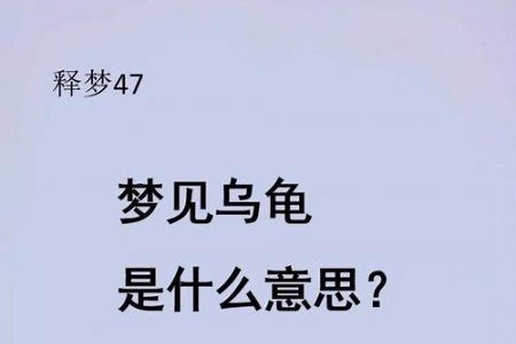 梦见海里一只大乌龟