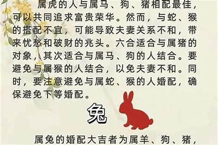 伏羊女属虎男能合婚吗？