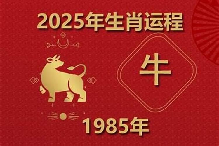 1985年的牛2026年运势如何？