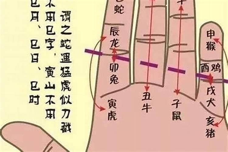 算命婚姻子非鱼神准