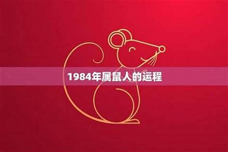 1984年鼠在2026年的运程如何？