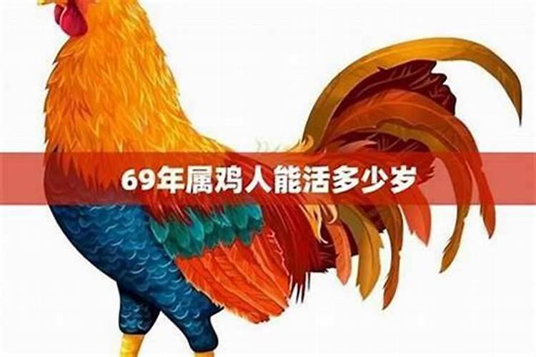 69年鸡男2026年运势